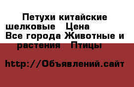 Петухи китайские шелковые › Цена ­ 1 000 - Все города Животные и растения » Птицы   